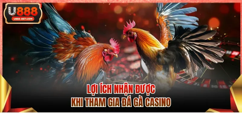 Lợi ích nhận được khi tham gia đá gà casino